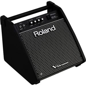 ROLAND PM-100 Loa trống điện