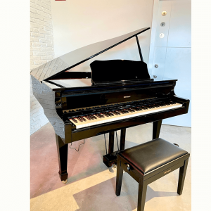 ROLAND GP-609 PE Piano Kỹ Thuật Số