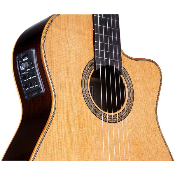 CORDOBA FUSION 12 ĐÀN GUITAR NYLON ORCHESTRA CE-CEDAR 05410