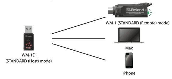 ROLAND WM-1D Bộ USB Wifi