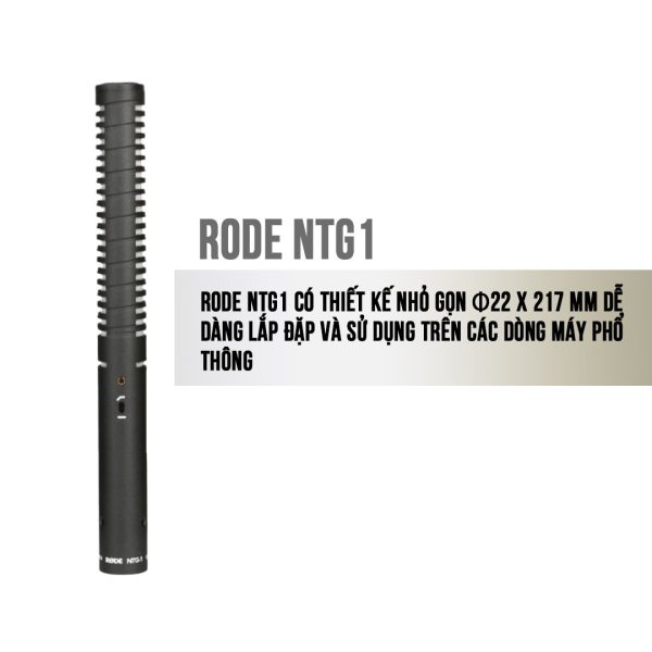 Rode NTG1 Micro shotgun thu âm condenser hướng super cardioid