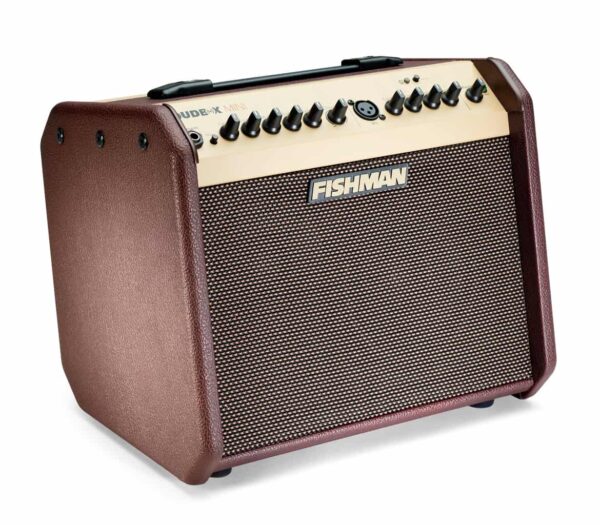 Fishman Loudbox Mini PRO LBC EU5 1