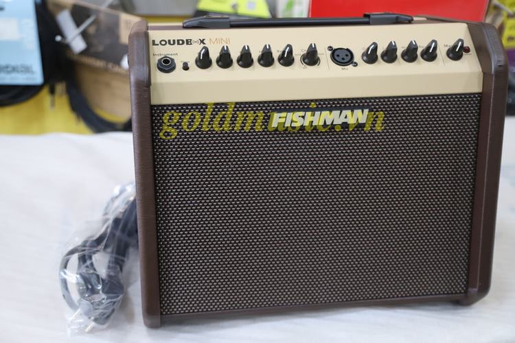 Fishman%20loudbox%20mini 6