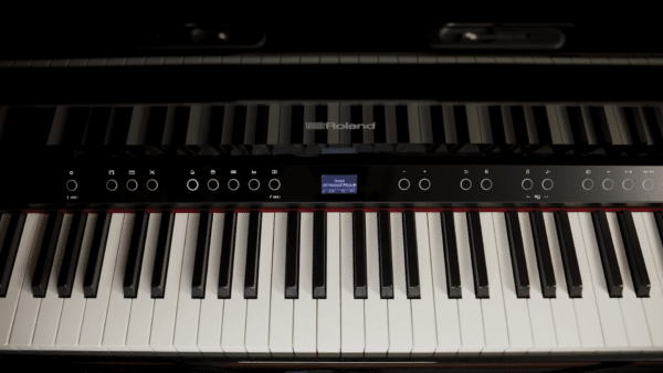 ROLAND LX 5 DR piano dien 3