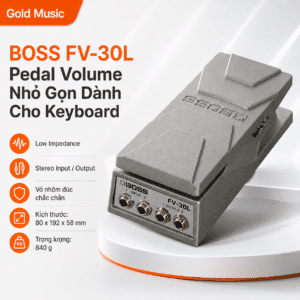 boss fv 30l