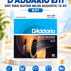 day dan guitar acoustic D Addario EJ11 1
