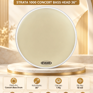 daddrio evans strata concert bass head mat trong cb3610s