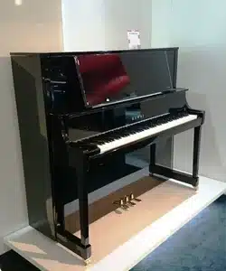 dan piano KAWAIK 800 1
