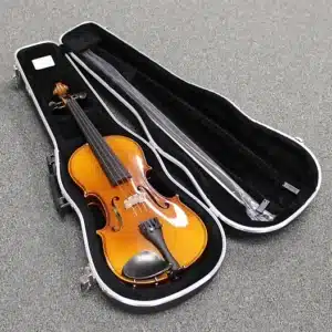 dan violin WL16E4CH 4