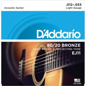 day dan guitar acoustic D Addario EJ11 1