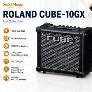 roland cube 10gx loa guitar dien