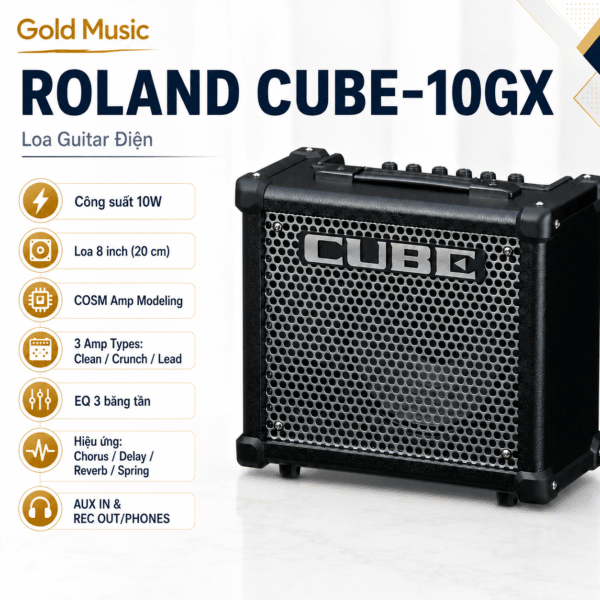 roland cube 10gx loa guitar dien