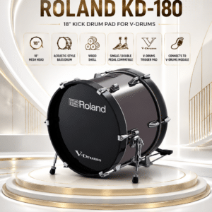 trong bass roland kd 180 4