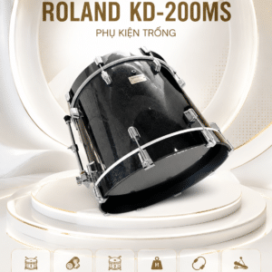 ROLANDKD 200MS trong bass