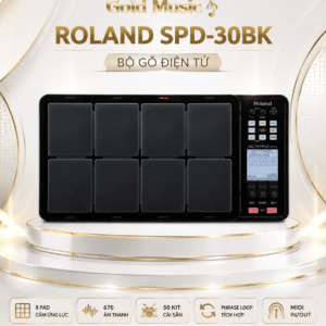 Roland SPD 30BK 5