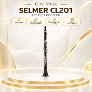 ken Clarinet SELMER CL201 4