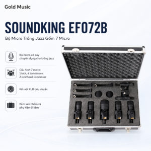 soundking ef072b bo micro trong jazz