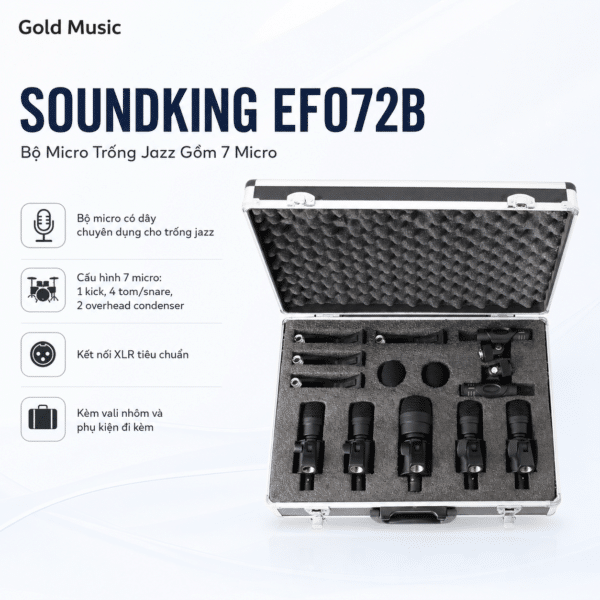 soundking ef072b bo micro trong jazz