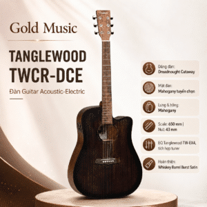 tanglewood twcr dce dan guitar acoustic