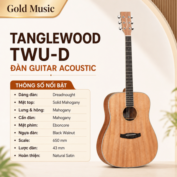 TANGLEWOOD TWU-D ĐÀN GUITAR ACOUSTIC tanglewood twu d dan guitar acoustic