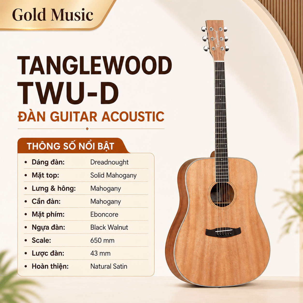 TANGLEWOOD TWU-D ĐÀN GUITAR ACOUSTIC tanglewood twu d dan guitar acoustic