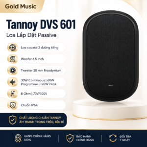 tannoy dvs 601 loa lap dat passive