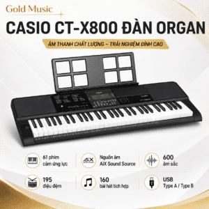 casio ct x800 dan organ