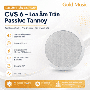 cvs 6 loa am tran passive tannoy
