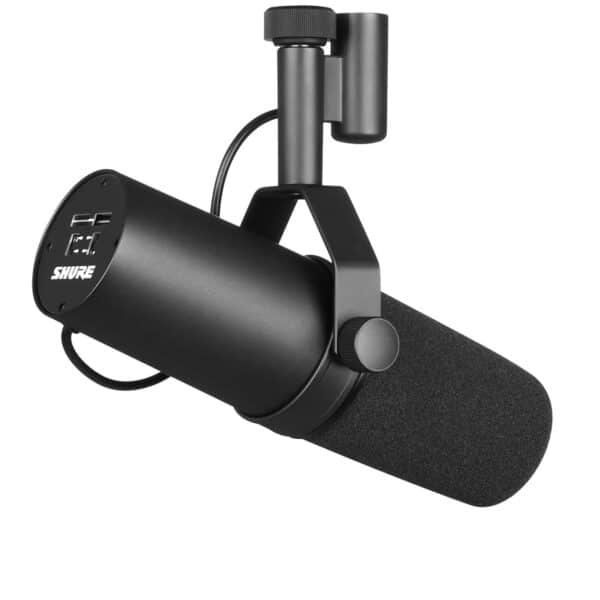 micro karaoke shure sm7b 3