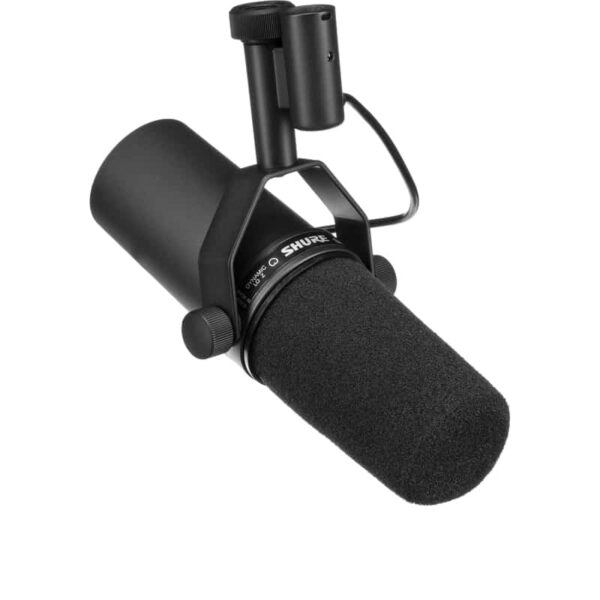 micro karaoke shure sm7b 4