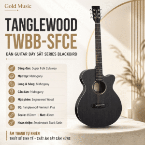 TANGLEWOOD TWBB-SFCE ĐÀN GUITAR DÂY SẮT SERIES BLACKBIRD tanglewood twbb sfce dan guitar day sat series
