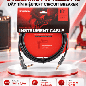 daddario day tin hieu 10ft pw aglra 10