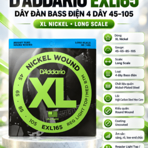 daddario exl165 day dan guitar 1