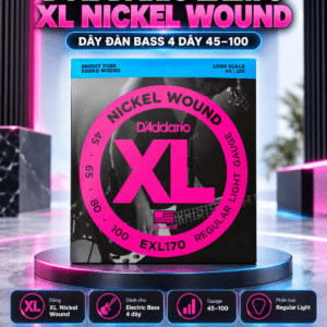 daddario exl170 day dan guitar
