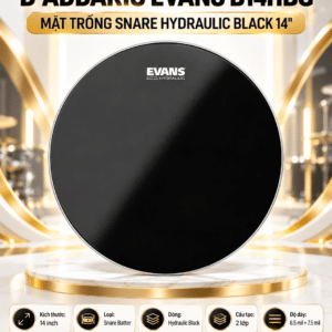 daddrio evans mat trong b14hbg 1