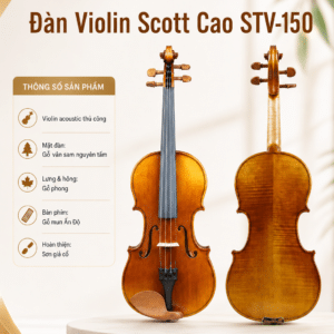 dan violin scott cao stv150 1