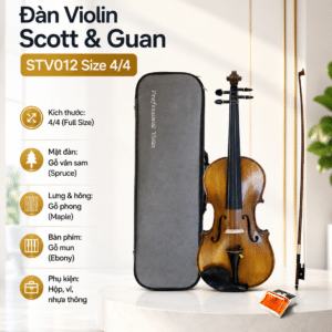 stv012