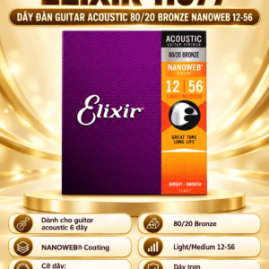 elixir 3313211077 day dan guitar acoustic