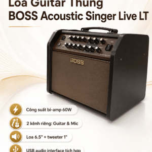 ROLAND ACS-LIVE LT loa Guitar Thùng