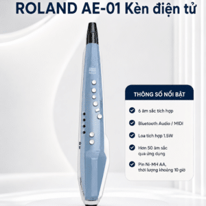 roland ae 01 ken dien tu 2