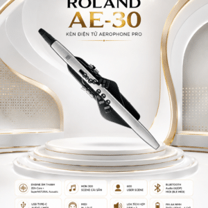 roland ae 30 ken dien tu