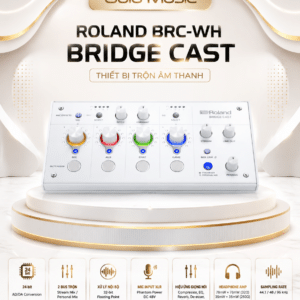 roland brc wh bridge cast thiet bi tron