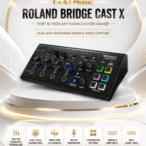 roland bridge cast x thiet bi tron am thanh 2