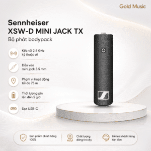 xsw d mini jack tx2