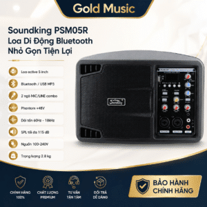 soundking psm05r loa di dong bluetooth tien loi