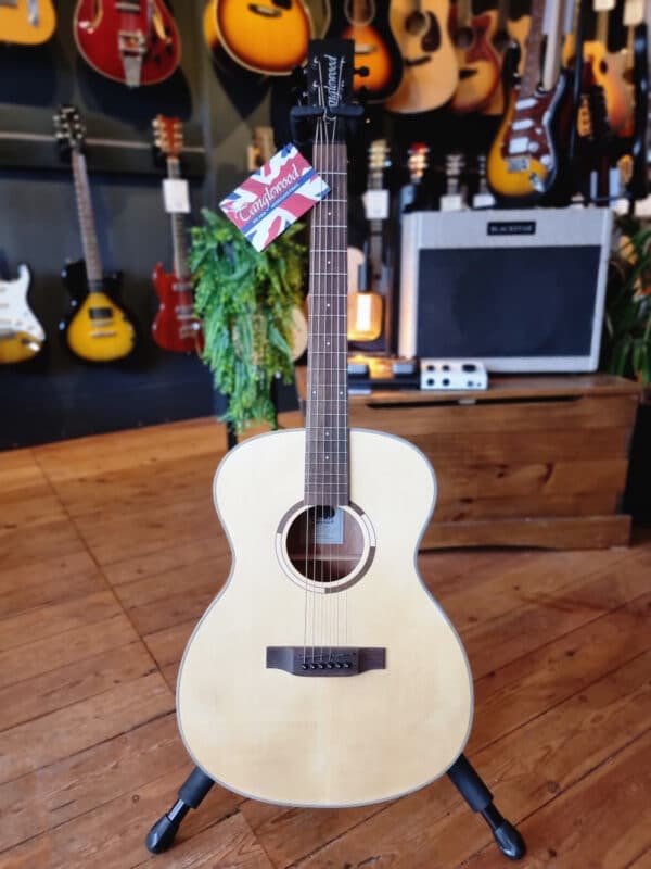 tanglewood dan guitar acoustic ts3 1