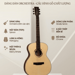 tanglewood dan guitar acoustic ts3 3