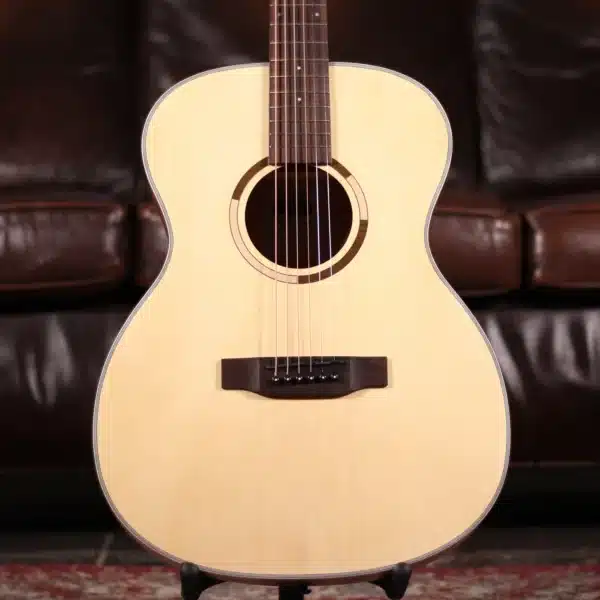 tanglewood dan guitar acoustic ts3