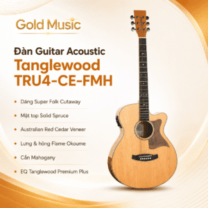 tanglewood tru4 ce fmh dan guitar acoustic