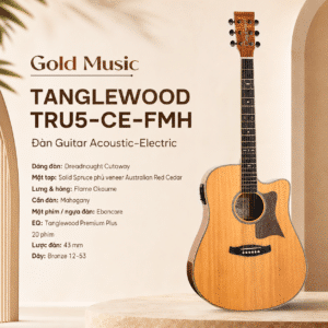 TANGLEWOOD TRU5-CE-FMH ĐÀN GUITAR ACOUSTIC tanglewood tru5 ce fmh dan guitar acoustic